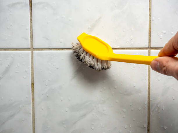 Best Mold Testing  in Old Jefferson, LA