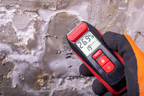 Best Affordable Mold Removal  in Old Jefferson, LA