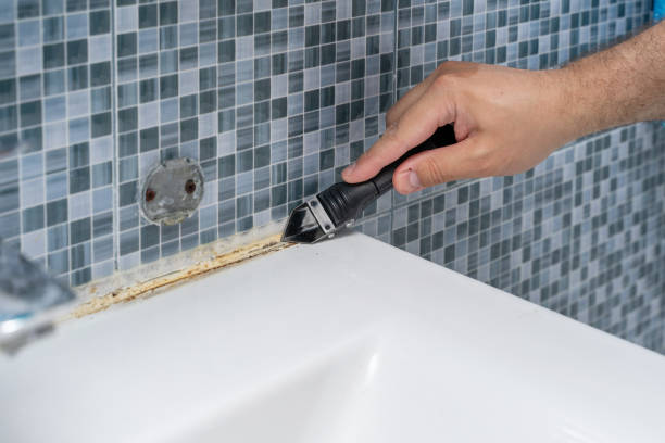 Best Emergency Mold Removal  in Old Jefferson, LA