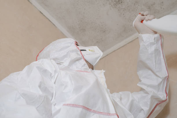 Crawl Space Mold Removal in Old Jefferson, LA