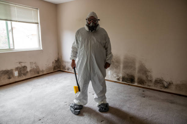 Water Damage Restoration in Old Jefferson, LA